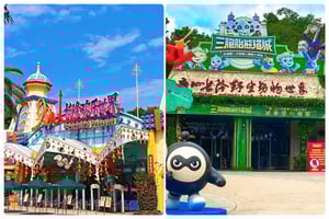 Guangzhou Chimelong: Safari Park/Paradise（Optional Day Tour）