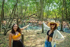 Isla Barú: Beach Club Access and Tour of the National Aviary