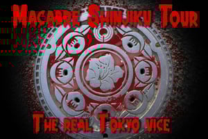 Kabukicho Macabre Tour - the Real Tokyo Vice