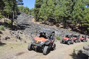 La Palma: Volcano Route Buggy Tour (Price Per Vehicle) 2 PAX
