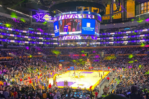Los Angeles: Los Angeles Lakers Basketball Game Ticket