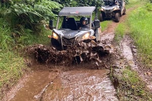 Madeira: Off-Road Buggy Driving Experience