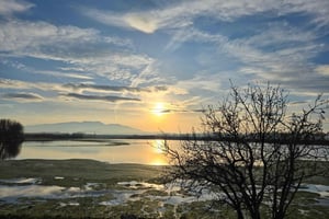 Montes del Cierzo: Buggy Tour