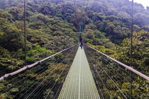 Monteverde: Visita guiada a los Puentes Colgantes del Bosque Nuboso