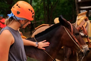Puerto Vallarta: Canopy River Zip Line Tour with Mule Ride
