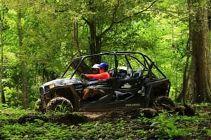 Puerto Vallarta: RZR Canopy River