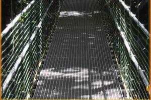 Roatan Island: Half-Day Eco-Walk, Zip-line & Beach Tour