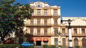 Royal Tobacco Factory Partagas