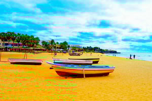 Sal Island: Guided Full-Day Highlights Tour with Lunch