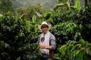 Salento: Tour of the Don Elías Coffee Plantation (English/Spanish/French Guide)