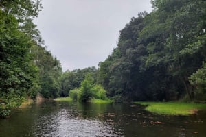 Santander: Guided boat tours of Santander Bay