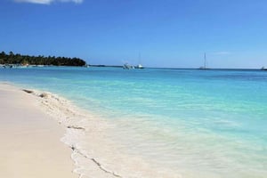 Saona Island: Relaxation Day Trip with Open Bar