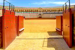 Seville: Plaza de Toros and Museum Guided Tour in Spanish