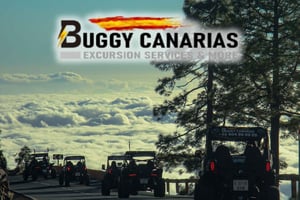 Tenerife: Morning or Sunset Teide Buggy Tour