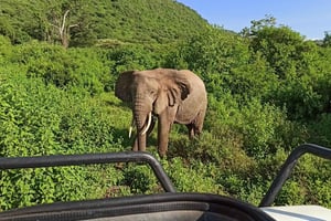 Uganda: trekking con chimpancés, safari en Queen Elizabeth y el lago Mburo