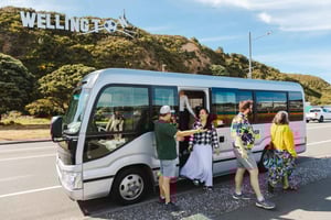 Wellington: Guided City Tour with Cable Car Ticket