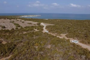 Akamas Jeep Safari Tour ab Paphos