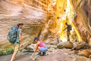 Avakas-Schlucht & Lara-Strand zum Schwimmen: Minibus-Abenteuer ab Paphos