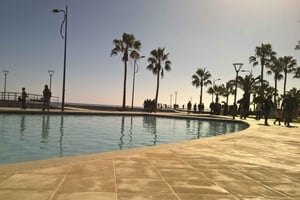 Da Paphos: Esperienza a Limassol