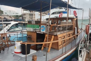 Gold Coast Protaras: pesca e nuota con le tartarughe