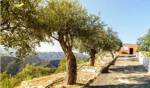 Ktima Sofokleous Events Venue