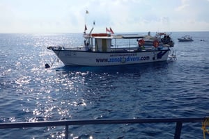 Larnaca: Zenobia erfarna vrakdykare