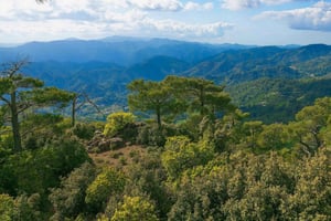 Limassol: piękno, przyroda i urok gór Troodos