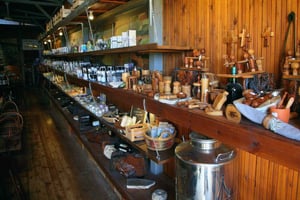 Limassol: Excursie naar de kust: olijvenboerderij, ambachten en het oude Limassol