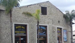 Naturlig Havsvamp Udstillingscenter