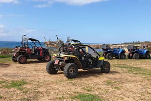 Paphos: Buggy-Safari zur Akamas-Halbinsel mit Mittagessen
