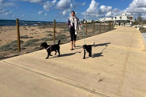 Paphos: Lighthouse Area Beach Walk with Rescue Dogs