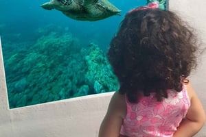 Pafos: Aperol ja juomat.