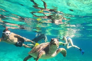 Paphos: Sköldpaddsskådning Snorkling Sea Scooter Trip