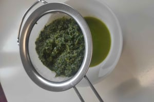 Private Kombucha Making Workshop in Cyprus