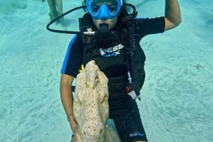 Protaras: Turtle Bay Introductie- en Safariduik Combo