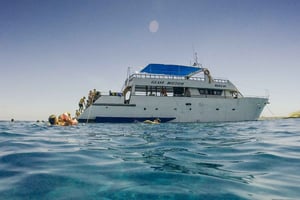 Larnaca: ontspannende cruise met vissen en BBQ-lunch