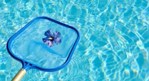 Swimming Pool Maintenance Services by Miltos Alkiviadous