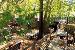 Горы Троодос: тур по нематериальному наследию с дегустацией