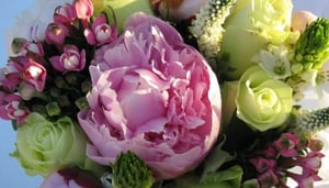 Vienna Boutique - Patisserie - Chocolaterie