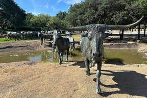 Dallas: Historic Private Walking Tour