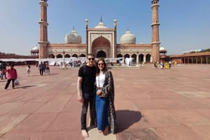 Delhi: Flughafen zu Flughafen Geführte Layover-Stadtrundfahrt