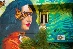 Delhi: Explore Delhi's Street Art & Visit to an Art Centre