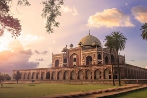 Delhi: Halvdags privat guidet tur med transport og guide