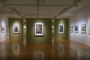 Delhi: Museer med kurator og afhentning