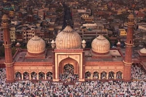 Delhi : visite d'une jounée de la vieille ville et de la nouvelle ville avec déjeuner