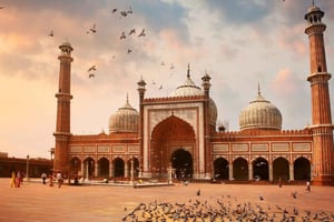 Delhi: Vanha ja uusi Delhi – yksityinen koko- tai puolen päivän kierros