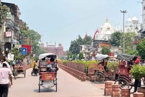 Delhi: tour della città vecchia di Delhi con giro in tuk-tuk e cibo di strada