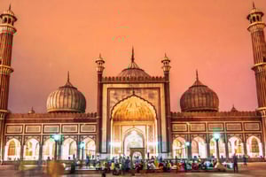 Delhi: Vanhan Delhin ruokakierros maustekauppaan, temppeliin ja moskeijaan