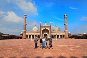 Delhi : visite privée de la vieille ville et de la nouvelle ville de Delhi, d'une journée ou d'une demi-journée
