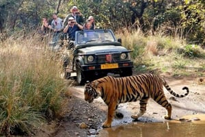 From Delhi: 6-Day Golden Triangle Tour with Ranthambore